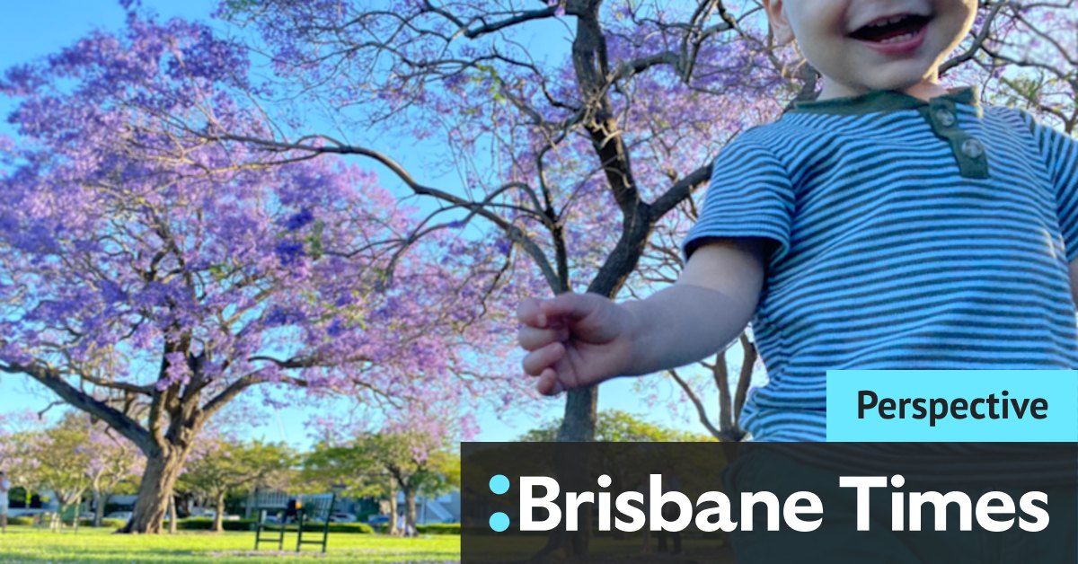 Brisbane jacarandas: Our relationship with them runs deeper than what meets the eye - Vimarsana News