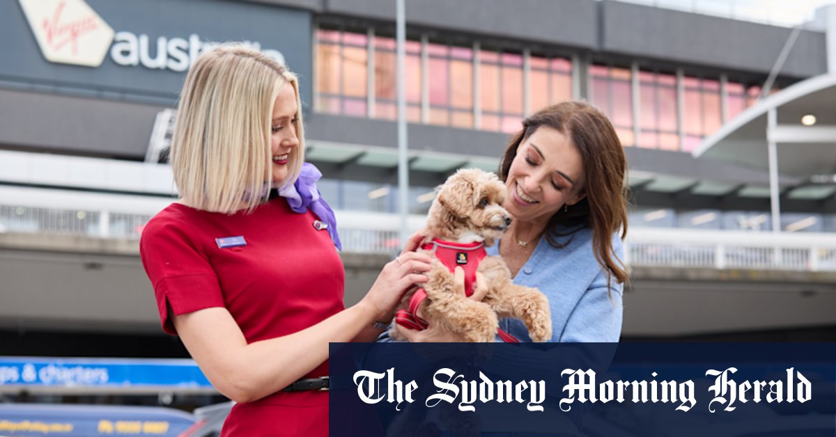 On board Virgin’s first pet-friendly flight (and what you need to know)