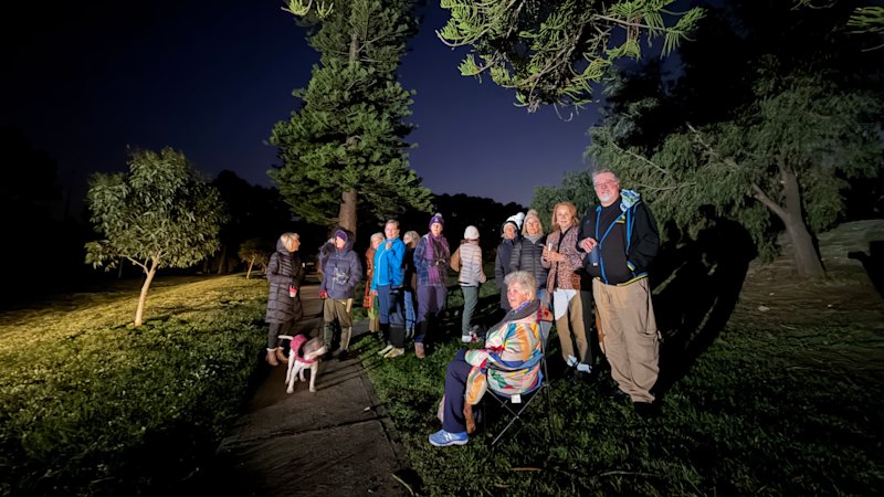 Fremantle puts plans to remove dozens of trees on hold after resident protests