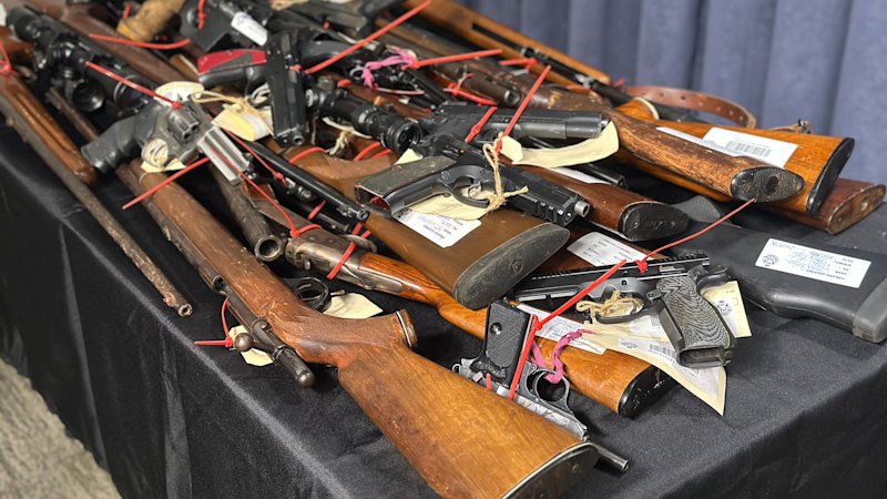 Police backed a limit of four guns per Victorian. Allan shot it down anyway
