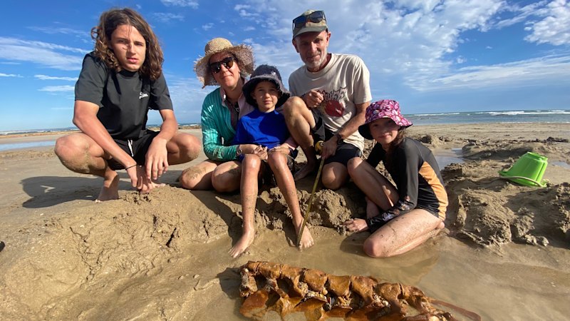 A family uncovered a 20-million-year-old fossil on a Victorian beach. Then they lost it