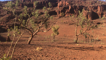 Fortescue to plead guilty to breaching Aboriginal Heritage Act