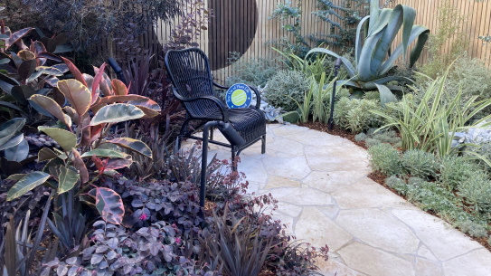 Ellen Freeman forged her own way with her gold-winning, solar-eclipse-inspired garden.