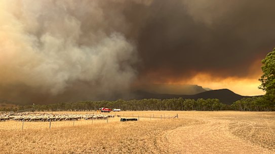 The bushfire near Grampians National Park earlier this week.