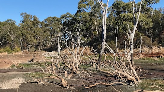 Stanthorpe's flood-wracked Severn River just outside town.