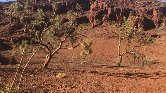 The view from a rock shelter excavated by the Eastern Guruma people in the path of an expansion of Fortescue’s Queens mine.