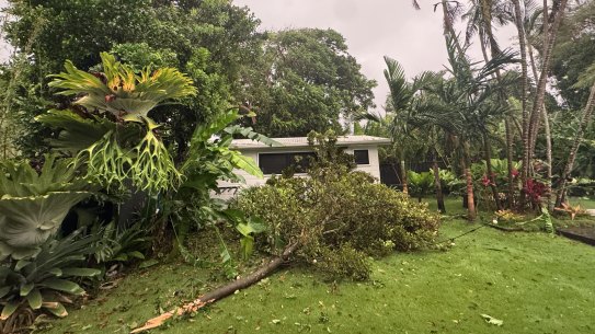 The vast bulk of the claims so far are related to trees falling on homes and cars, insurers say.