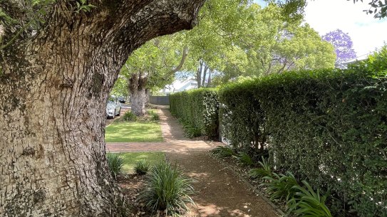 Graceville in Brisbane’s inner west has some of the shadiest street footpaths in the city, according to research from the University of Southern Queensland