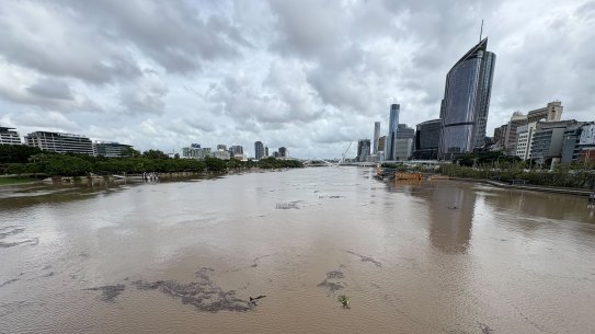 Debris seen in the Brisbane River on Tuesday, March 11, 2025.
