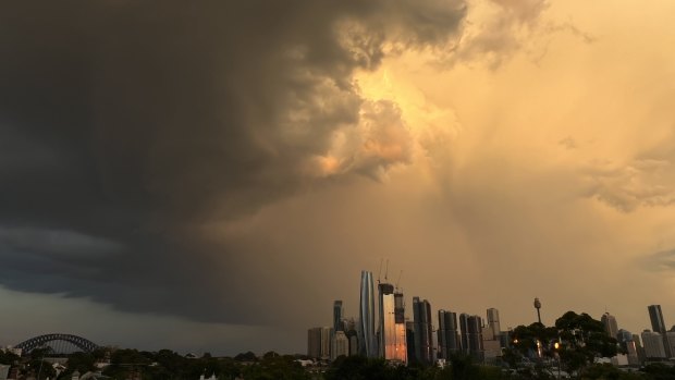 Sydney hit with heavy rain as wild weather continues