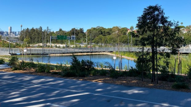 Algae found in Rozelle Parklands pond, days before planned reopening