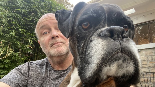 Rosie is gone, and there’s a slobbery-boxer-shaped hole in our hearts