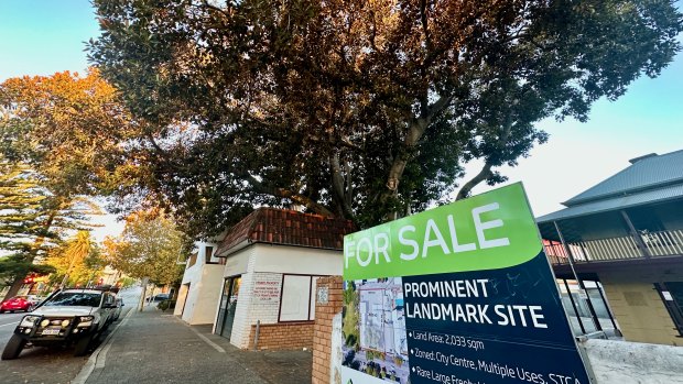 WA’s greenest city turns red at the prospect of a cherished century-old tree being chopped down