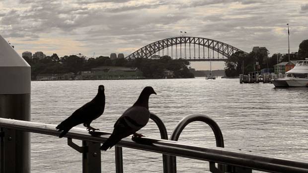East Balmain ferry wharf 