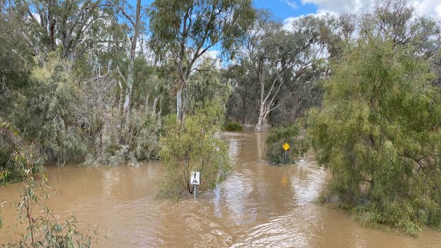 Parts of Mildura told to evacuate as swollen Murray River rises