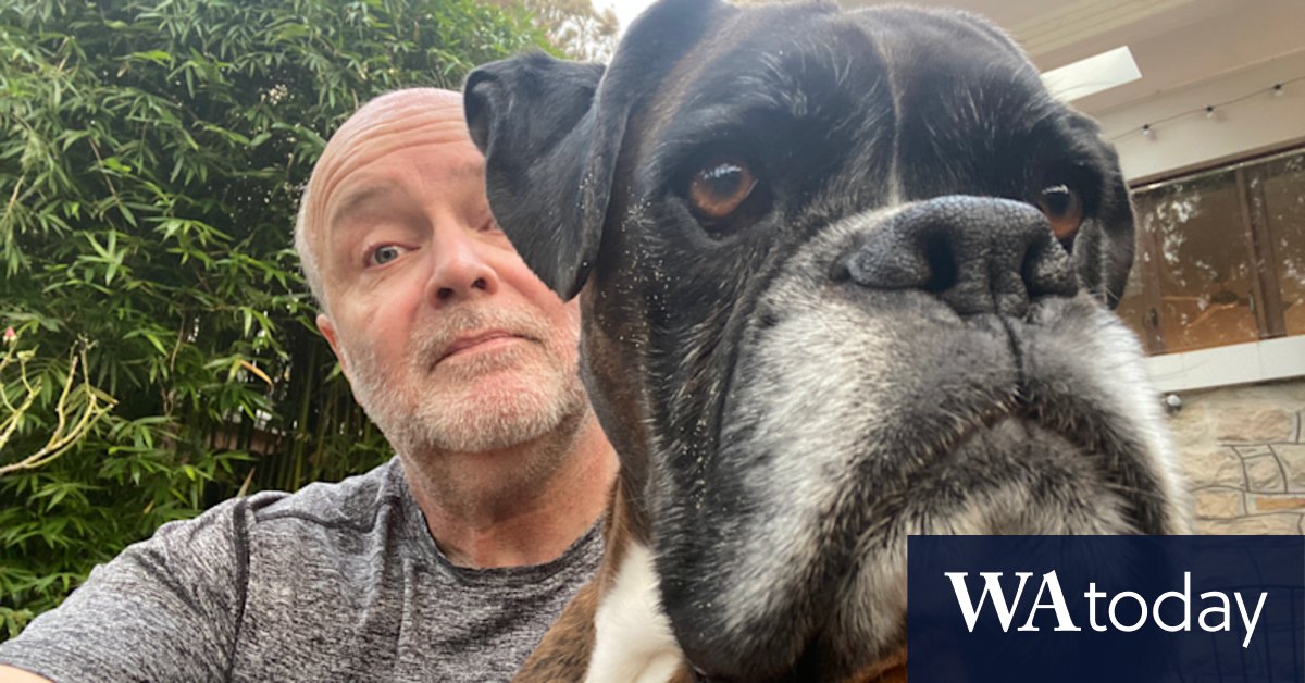 When a dog dies, it leaves a slobbery-boxer-shaped hole in your heart - Vimarsana News