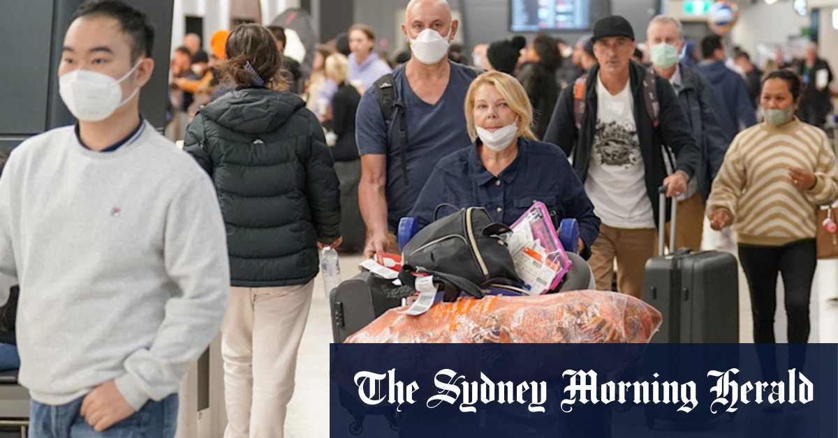 Australia's biosecurity: Federal government insists sanitisation measures on track to stop foot and mouth disease entering from Bali, Indonesia - Vimarsana News