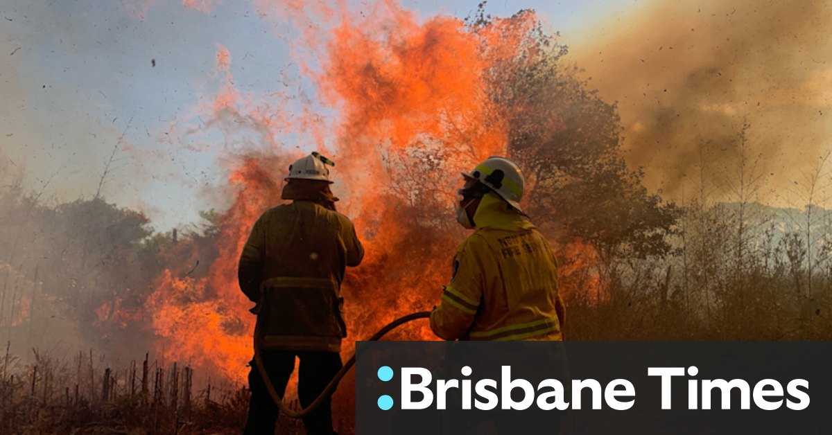 Spreadsheet to detect bushfire grants fraud 'rudimentary', inquiry hears - Vimarsana News