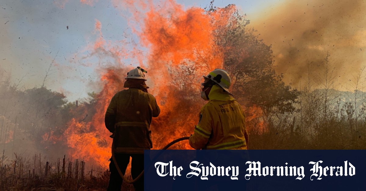 Spreadsheet to detect bushfire grants fraud 'rudimentary', inquiry hears - Vimarsana News