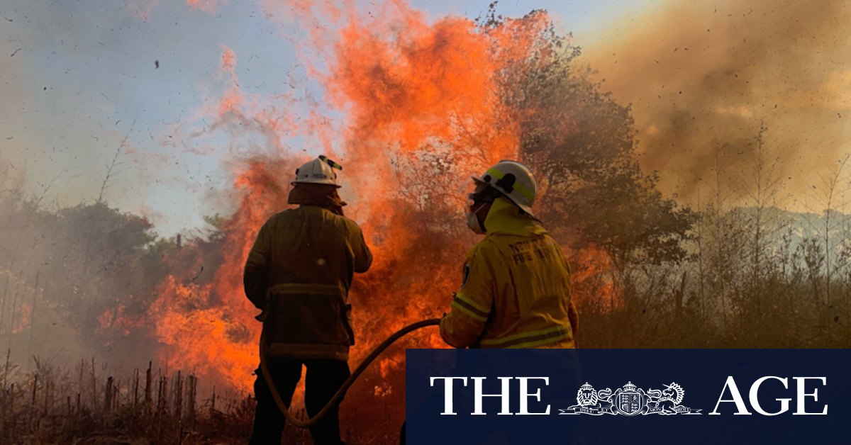 Spreadsheet to detect bushfire grants fraud 'rudimentary', inquiry hears - Vimarsana News