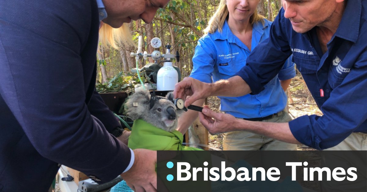 Audit Office Exposes Flaws In Brisbane S Bushland Purchasing Program