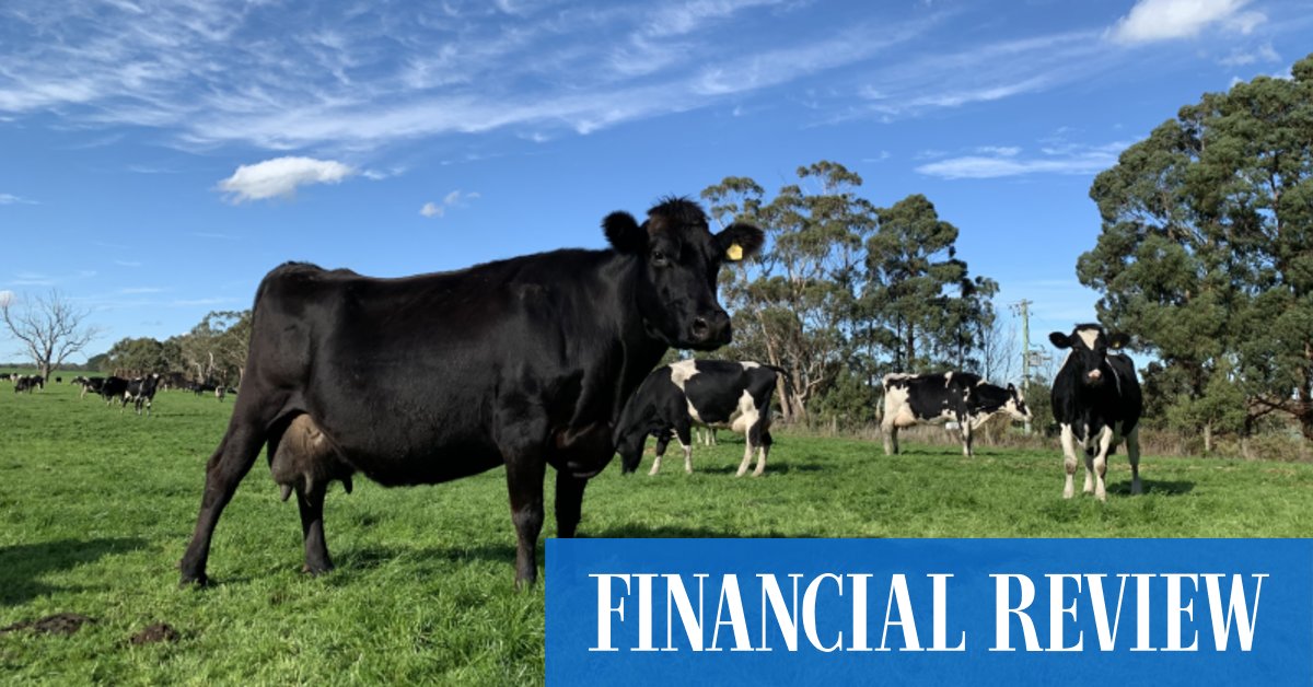 Prime Value adds Tassie dairy farms to agri fund - Vimarsana News