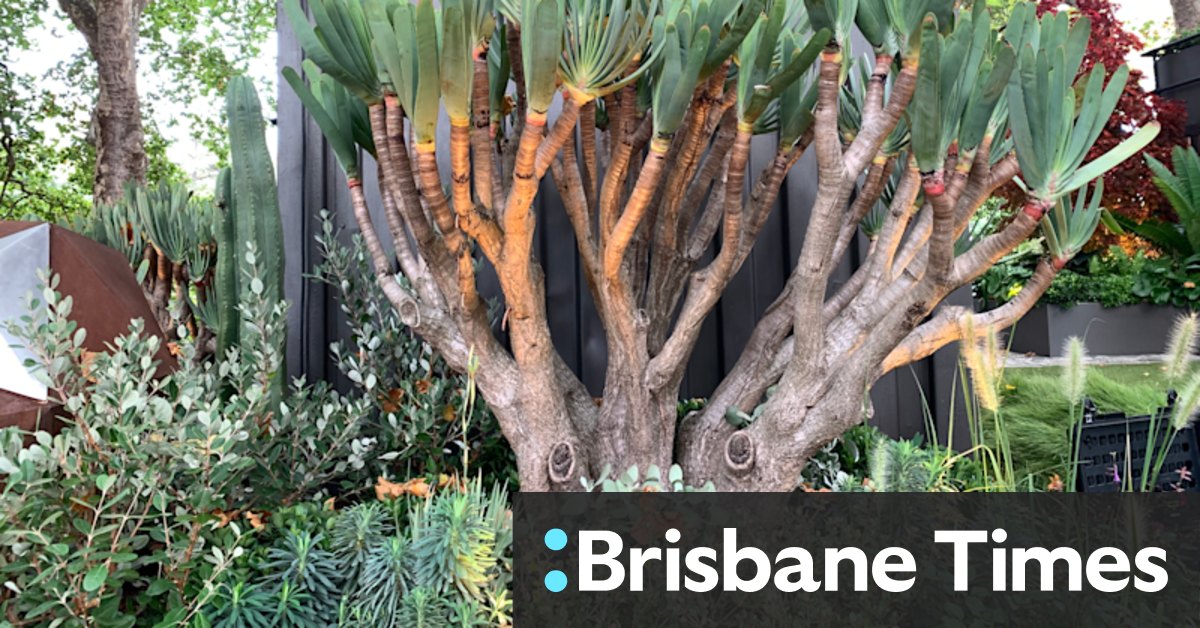 The best gardens at the Melbourne International garden and flower show - Vimarsana News