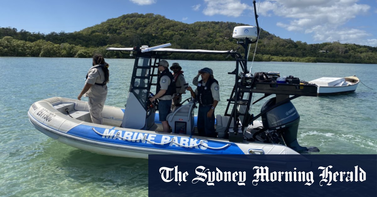 Crocodile Dunwich: Wildlife officers flown into to help with search - Vimarsana News