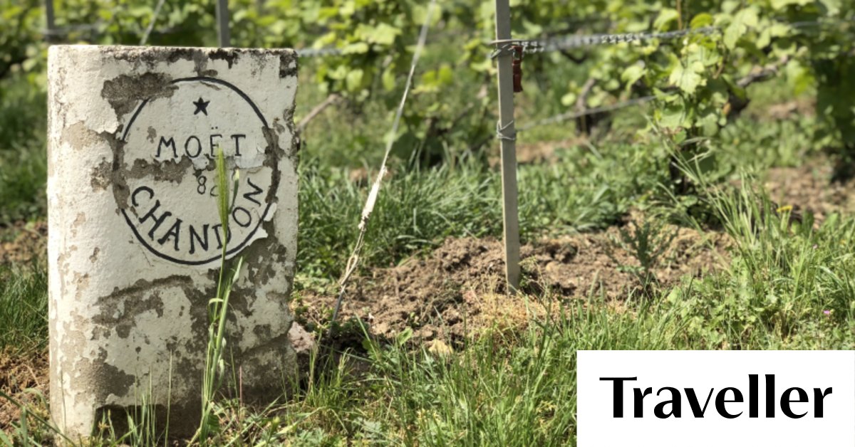 Champagne region, France: Nine of the best things to do - Vimarsana News
