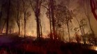 The Royal Commission
into National Natural Disaster Arrangements was called after the summer's catastrophic bushfires, but its remit extends to all natural disasters.
