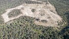 “Avoided deforestation” allows landowners to claim carbon credits even if they never intended to clear land.