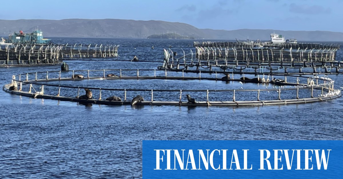 afr.com - Phillip Coorey - Salmon farming push sparks angst within Labor
