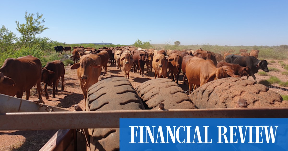 Forrest v Ellison: iron ore project to cut cattle station in half - Vimarsana News