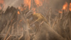 A priest  at a crematorium in New Delhi performs the last rites for a COVID-19 victim amid burning funeral pyres on May 1.