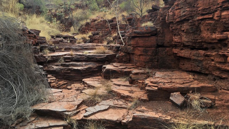 Iron Ore Supplier