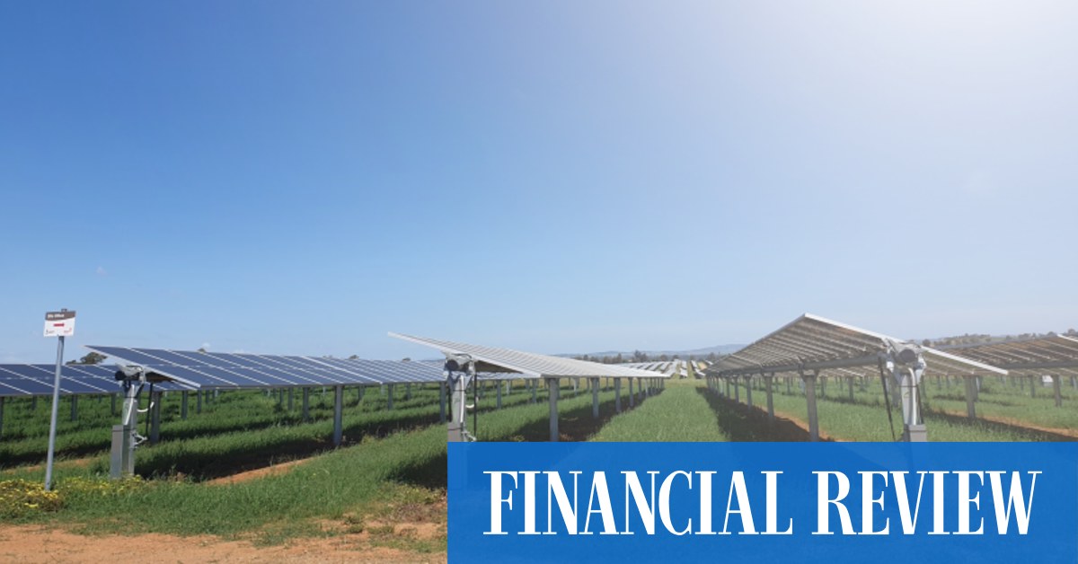 马来西亚国家能源赢得 Spark 可再生能源拍卖 – AFR