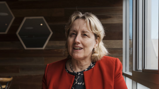 Population growth is one of the biggest challenges confronting Sydney local health district chief Teresa Anderson