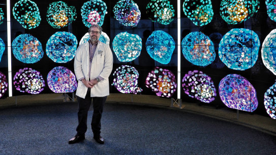 Professor Jose Polo in front of images of his model embryos.