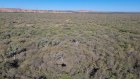 Biomass Projects founder Richard Paterson hopes to transform Western Australia’s largest weed infestation into carbon-capturing biochar.