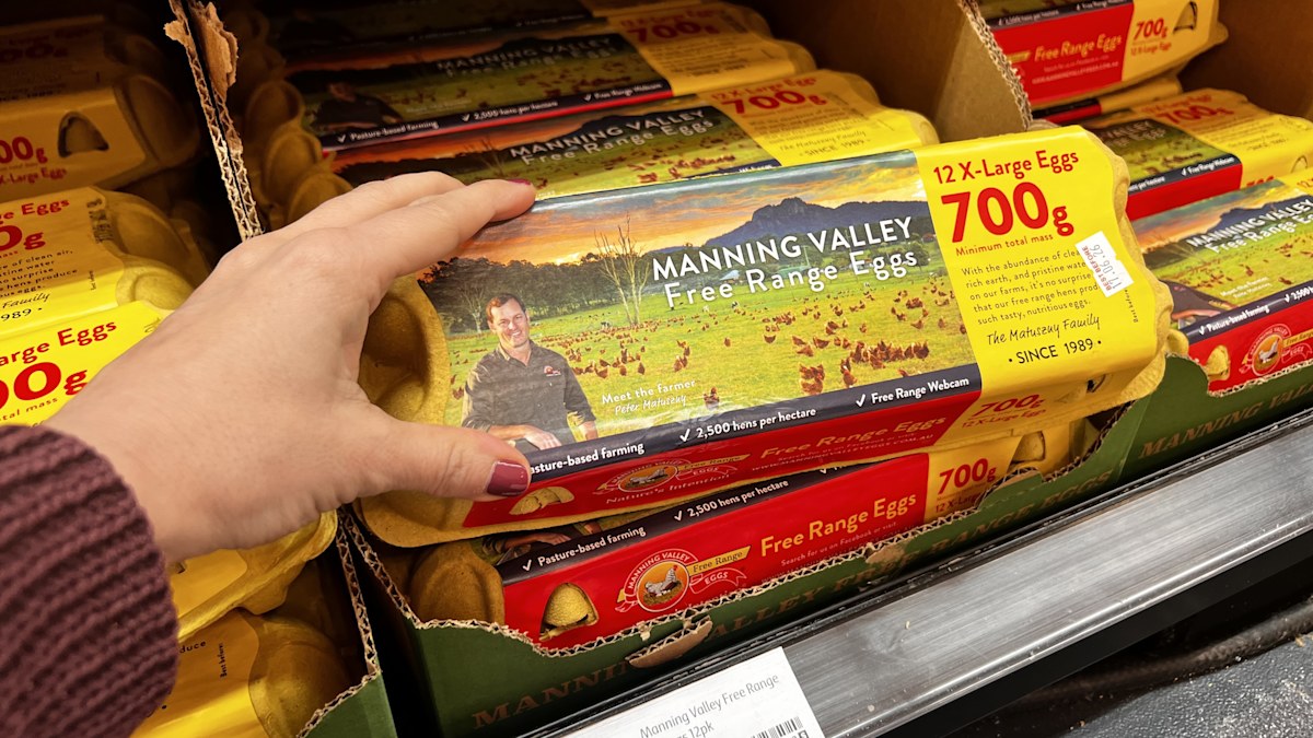 Die Eierpreise könnten nach dem Auftreten der Vogelgrippe in Australien in ...