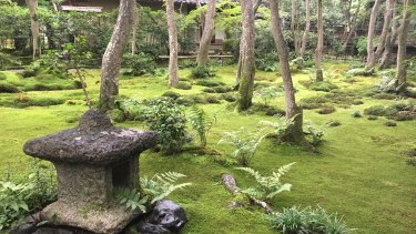 Gathering Moss