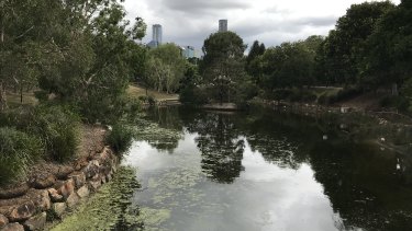 The lagoons at York's Hollow on the lower side of Victoria Park were part of a network of freshwater billabongs that ran where the Inner City Bypass is today. 