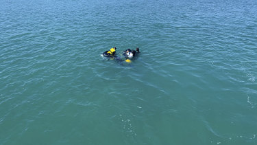 The project's divers.