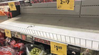Empty shelves, normally stocked with strawberry punnets, are seen at a Coles supermarket in Brisbane.