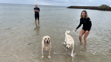 Kate Halfpenny with husband Chris, their Groodle Maggie and a local canine friend.