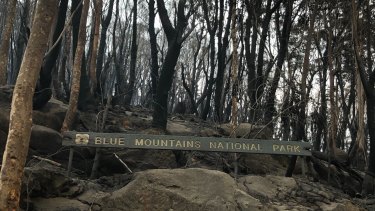 A burned sign shows the devastation of fire in the area. 
