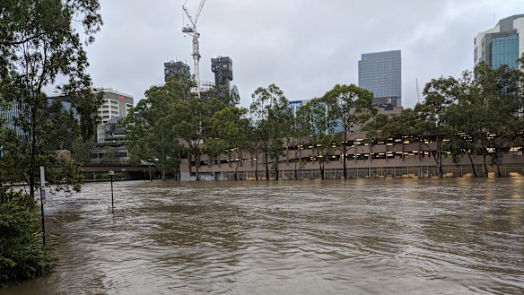 The inundated former David Jones car park on which the new Powerhouse Museum will stand.