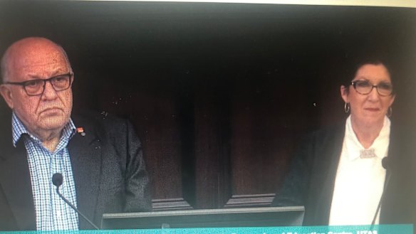 Dr Peter Foltyn from St Vincent's Hospital and Associate Professor
Lynette Goldberg of Wicking Dementia research before the aged care royal commission on Tuesday.