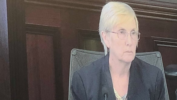 Dr Margaret Ginger at the hearing on Wednesday.