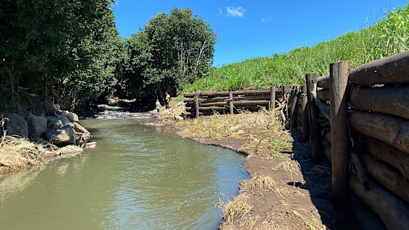 A log retaining wall at Roadvale in the Lockyer Valley prevented erosion and silt in the recent flood.